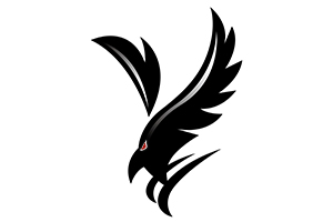 HORUS DESIGN ✢ 映像制作ホルスデザイン
